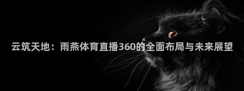 云筑天地：雨燕体育直播360的全面布局与未来展望