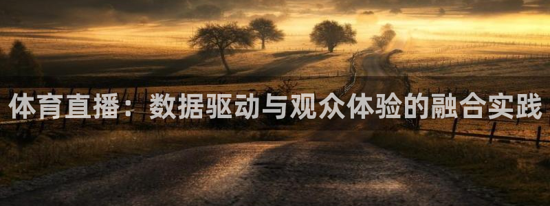 体育直播：数据驱动与观众体验的融合实践