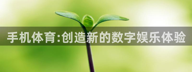 手机体育:创造新的数字娱乐体验
