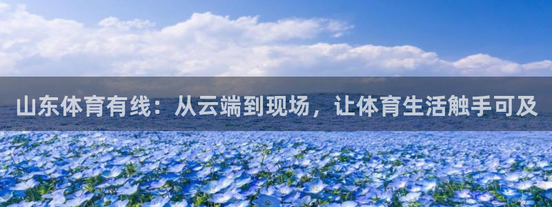 山东体育有线：从云端到现场，让体育生活触手可及