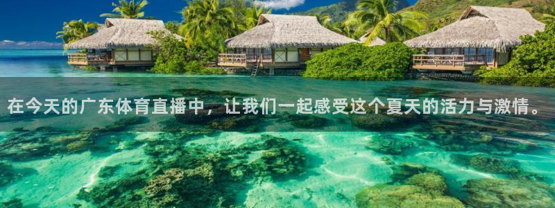 在今天的广东体育直播中，让我们一起感受这个夏天的活力与激情。