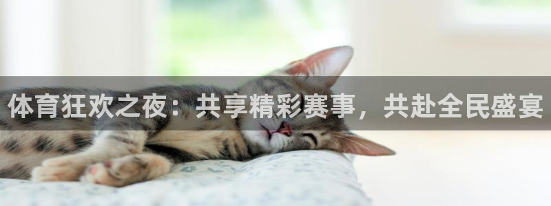 体育狂欢之夜：共享精彩赛事，共赴全民盛宴