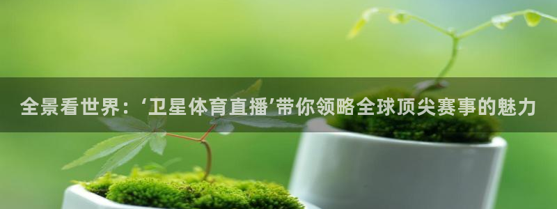 全景看世界：‘卫星体育直播’带你领略全球顶尖赛事的魅力