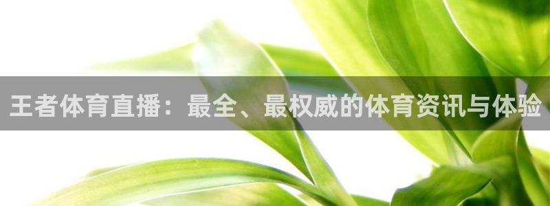 王者体育直播：最全、最权威的体育资讯与体验