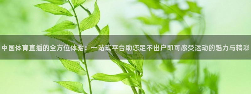 中国体育直播的全方位体验：一站式平台助您足不出户即可感受运动的魅力与精彩