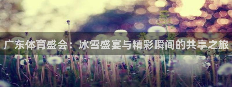 广东体育盛会：冰雪盛宴与精彩瞬间的共享之旅