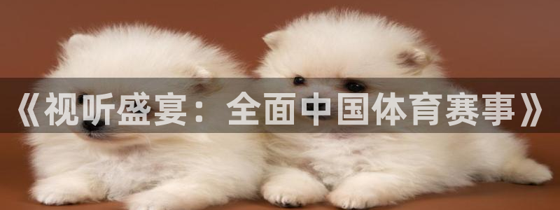 《视听盛宴：全面中国体育赛事》