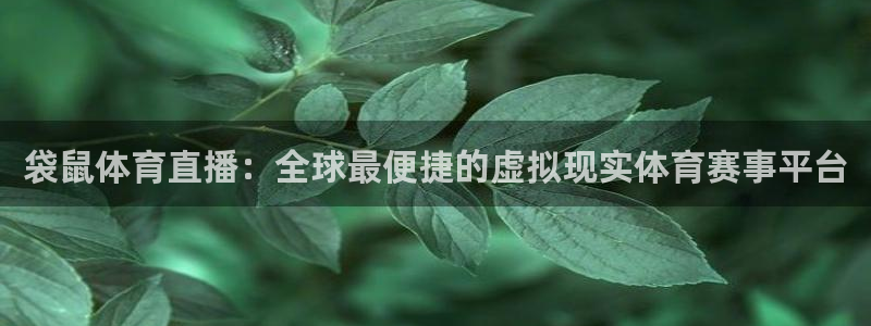 袋鼠体育直播：全球最便捷的虚拟现实体育赛事平台