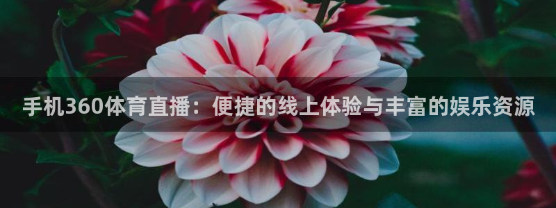 手机360体育直播：便捷的线上体验与丰富的娱乐资源