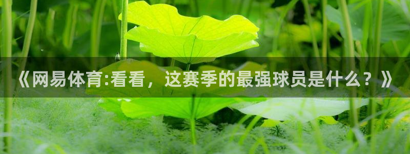 《网易体育:看看，这赛季的最强球员是什么？》