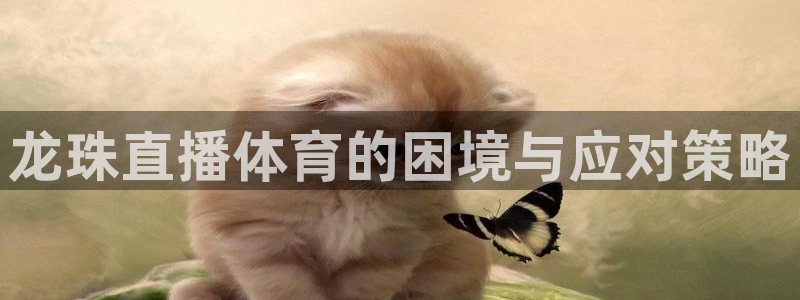 龙珠直播体育的困境与应对策略