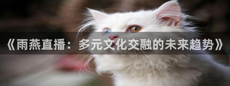 《雨燕直播：多元文化交融的未来趋势》