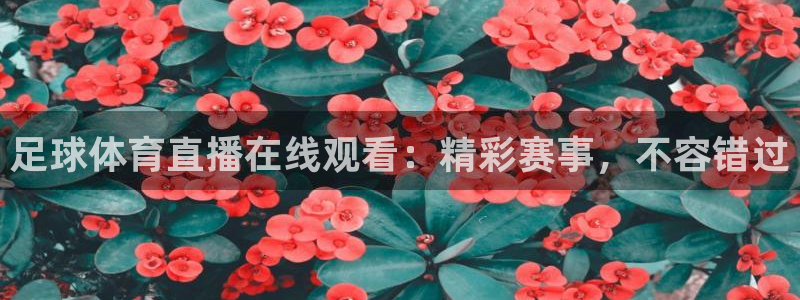 足球体育直播在线观看：精彩赛事，不容错过