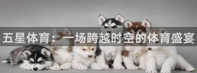 五星体育：一场跨越时空的体育盛宴