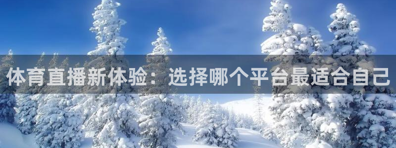 体育直播新体验：选择哪个平台最适合自己