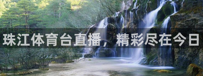 珠江体育台直播，精彩尽在今日