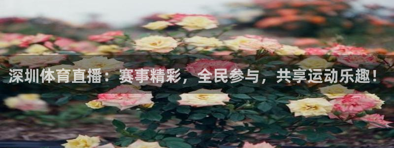 深圳体育直播：赛事精彩，全民参与，共享运动乐趣！