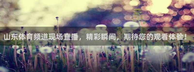 山东体育频道现场直播，精彩瞬间，期待您的观看体验！
