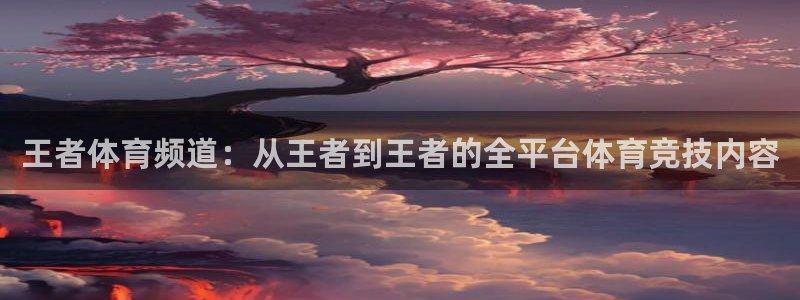 王者体育频道：从王者到王者的全平台体育竞技内容