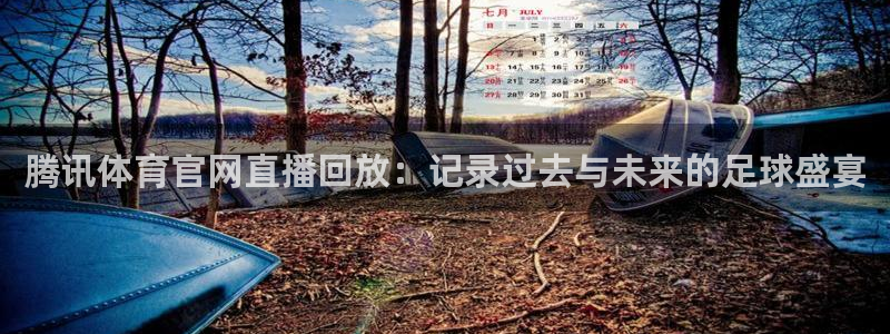 腾讯体育官网直播回放：记录过去与未来的足球盛宴