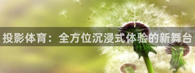 投影体育：全方位沉浸式体验的新舞台