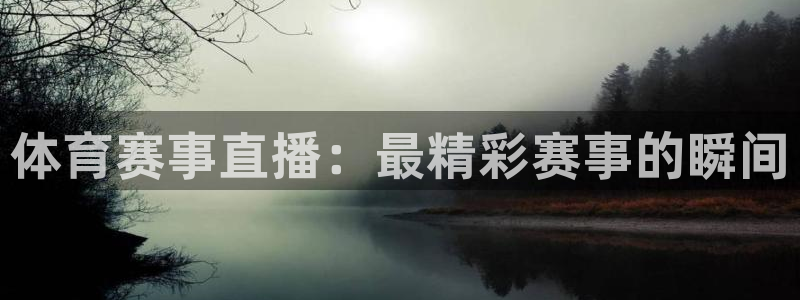 体育赛事直播：最精彩赛事的瞬间