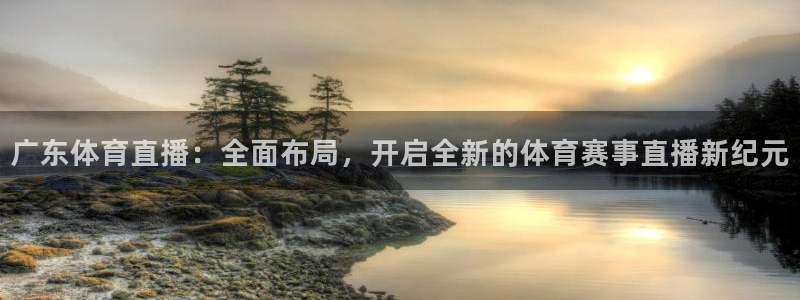 广东体育直播：全面布局，开启全新的体育赛事直播新纪元