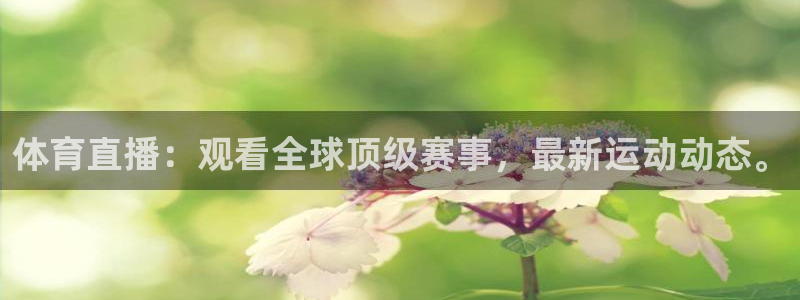 体育直播：观看全球顶级赛事，最新运动动态。