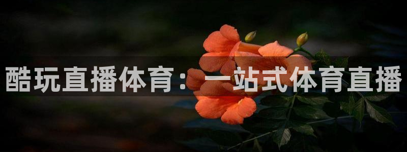 酷玩直播体育：一站式体育直播