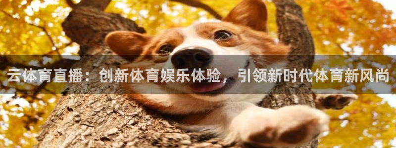 云体育直播：创新体育娱乐体验，引领新时代体育新风尚