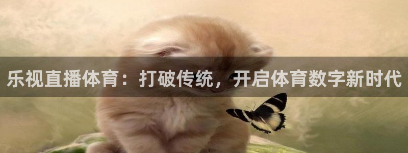 乐视直播体育：打破传统，开启体育数字新时代