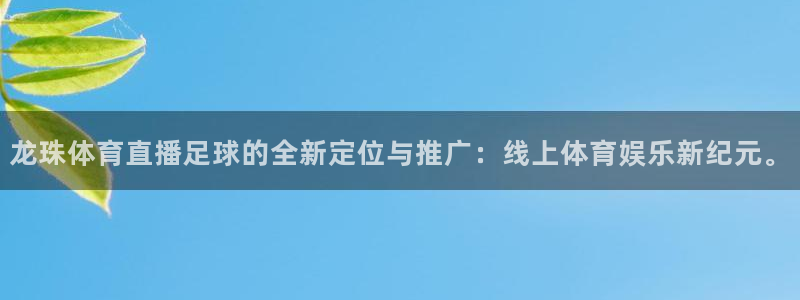 龙珠体育直播足球的全新定位与推广：线上体育娱乐新纪元。