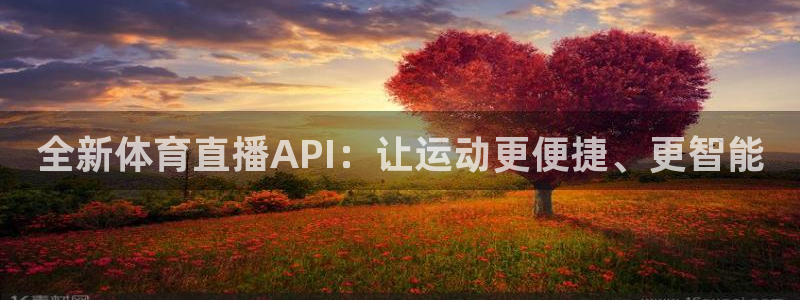 全新体育直播API：让运动更便捷、更智能