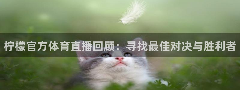 柠檬官方体育直播回顾：寻找最佳对决与胜利者
