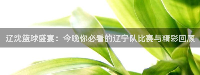 辽沈篮球盛宴：今晚你必看的辽宁队比赛与精彩回顾