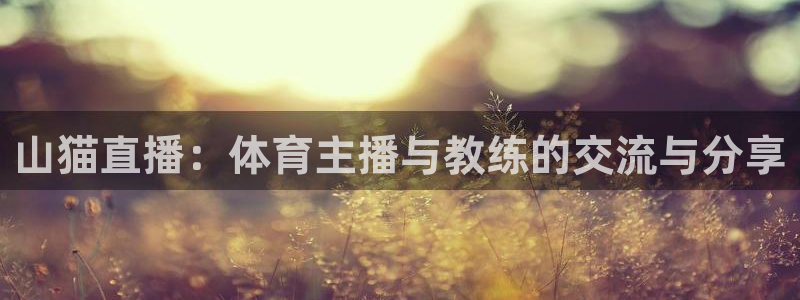 山猫直播：体育主播与教练的交流与分享