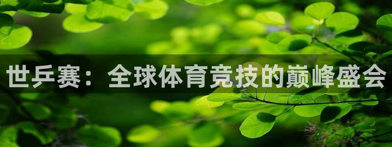 世乒赛：全球体育竞技的巅峰盛会