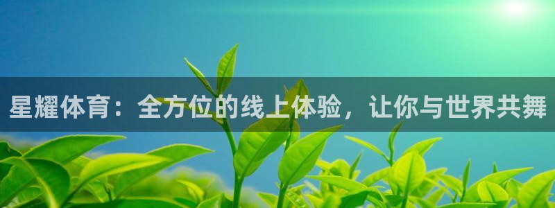 星耀体育：全方位的线上体验，让你与世界共舞