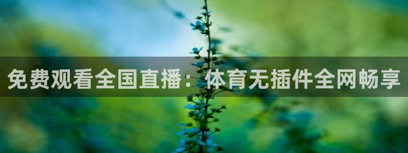 免费观看全国直播：体育无插件全网畅享